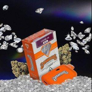 Dabwoods Disposable 2g